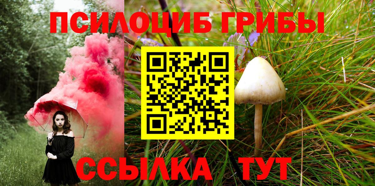 Галлюциногенные грибы Magic Shrooms Ульяновск