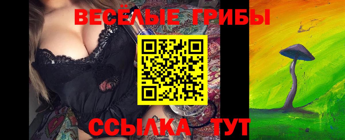 Галлюциногенные грибы прущие грибы  Псилоцибиновые грибы ЛСД  Ульяновск  Вход с VPN 